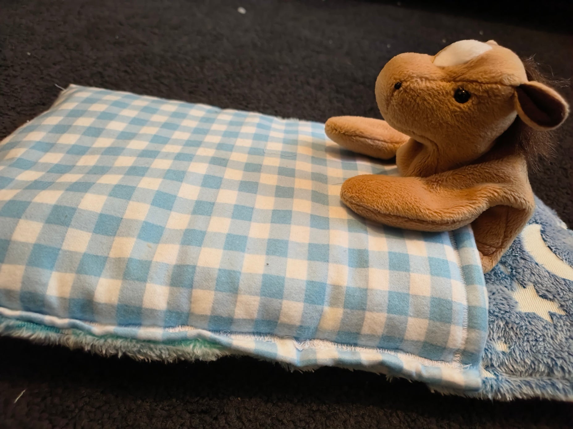 Custom Reversable Nap Sack for Toddler - Sensory Friendly