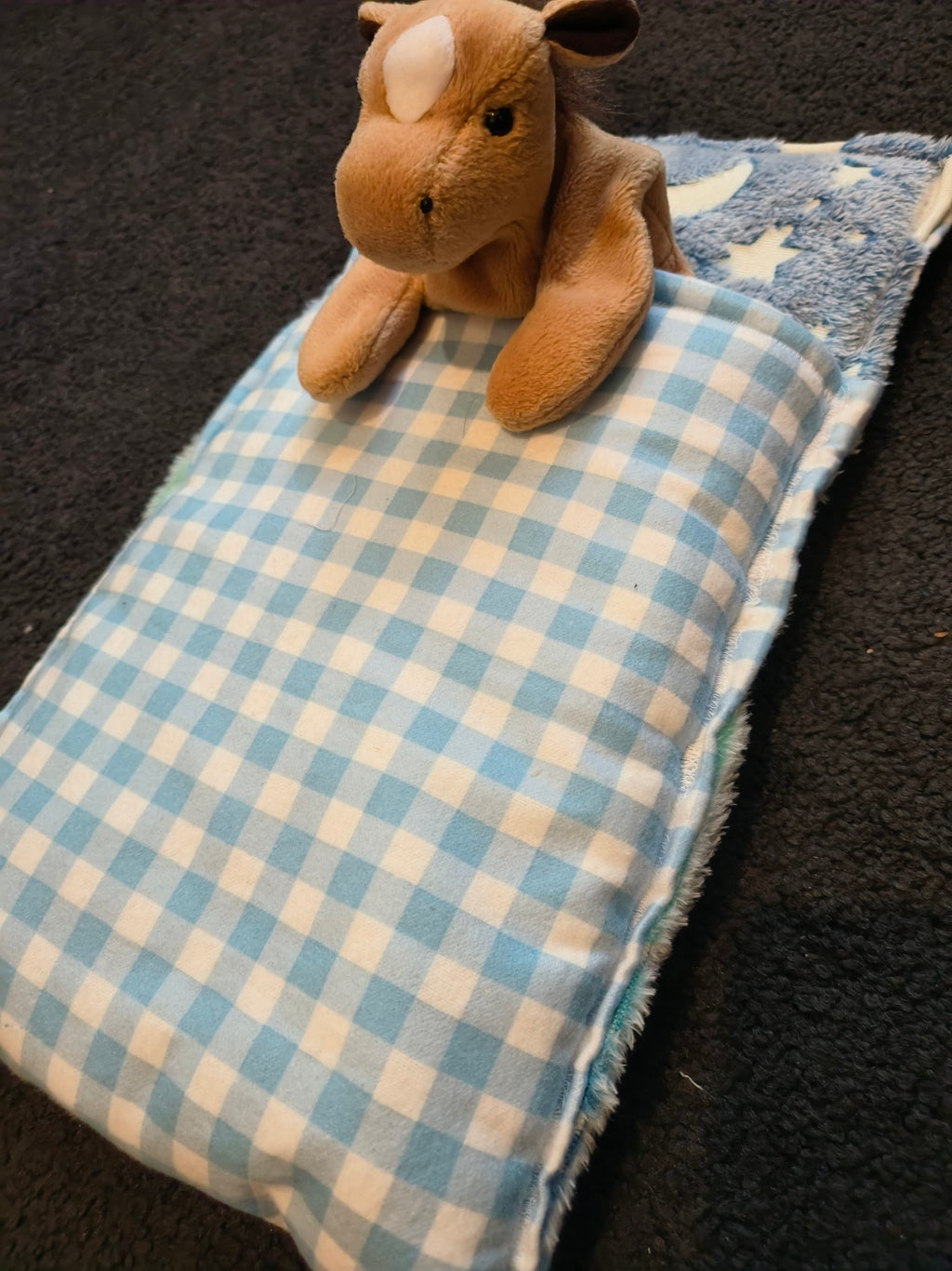 Custom Reversable Nap Sack for Toddler - Sensory Friendly