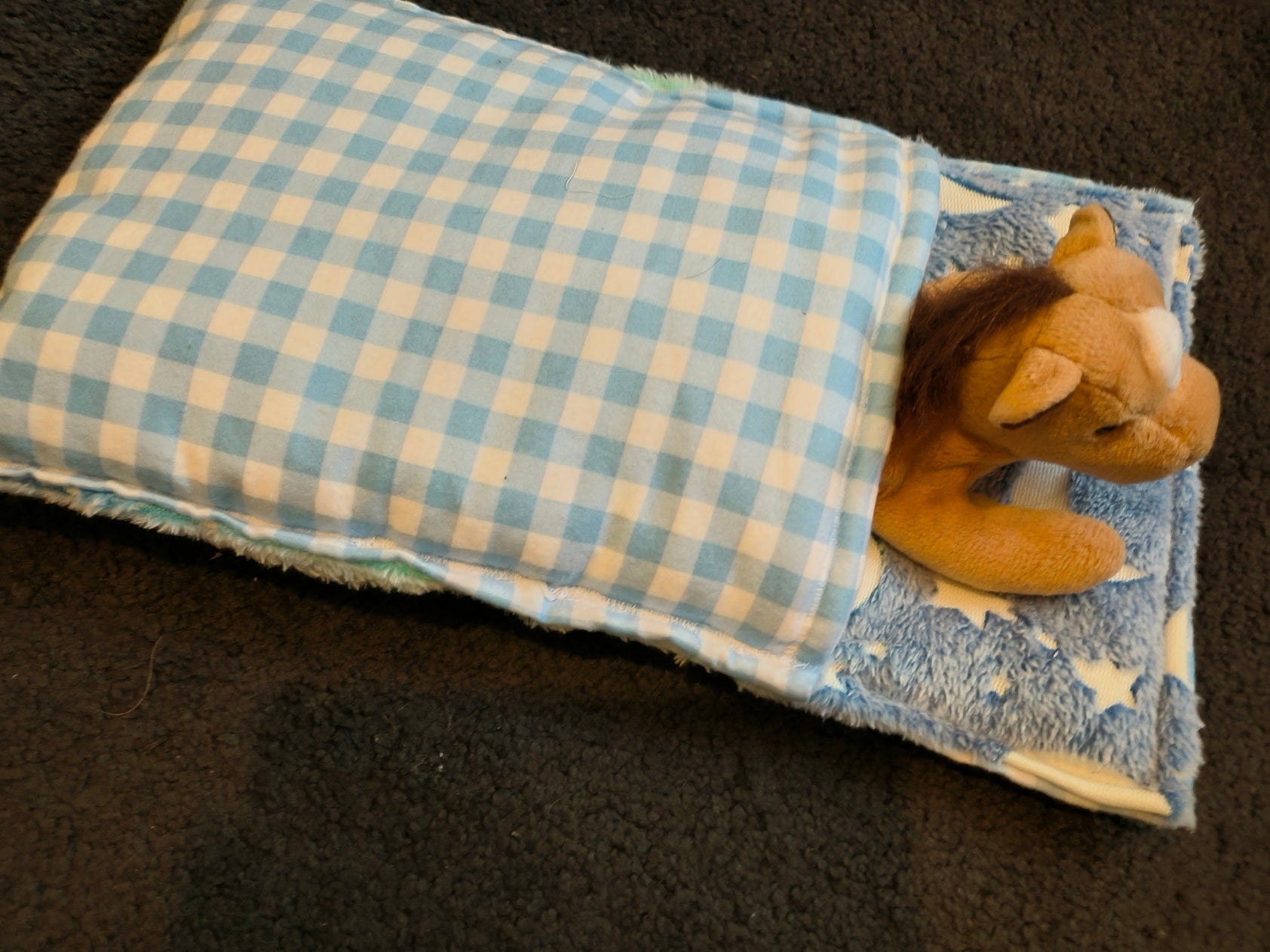 Custom Reversable Nap Sack for Toddler - Sensory Friendly